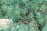 Green, Fluorescent, Cubic Fluorite Crystals - Madagascar #238383-2